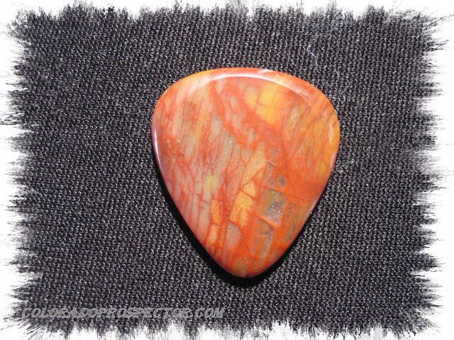 Petrified Wood Stone Guitar Pick