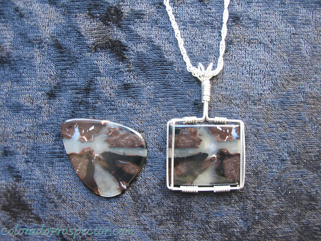 Wyoming Petrified Wood Necklace